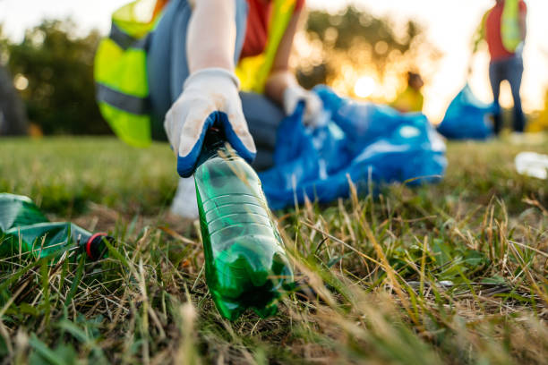 Best Yard Cleanup Services  in North Boston, NY